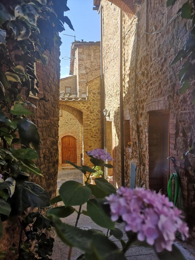 Antico Borgo Di Torri Acomodação com café da manhã Sovicille Exterior foto